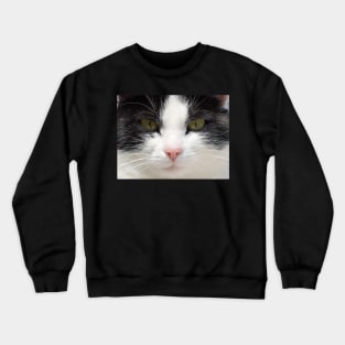 Black and White Cat Face, Gifts Cat Lovers Crewneck Sweatshirt